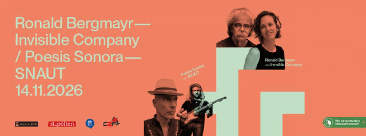 RONALD BERGMAYR - INVISIBLE COMPANY / POESIS SONORA - SNAUT