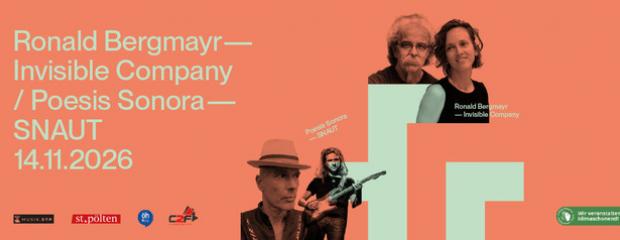 RONALD BERGMAYR - INVISIBLE COMPANY / POESIS SONORA - SNAUT